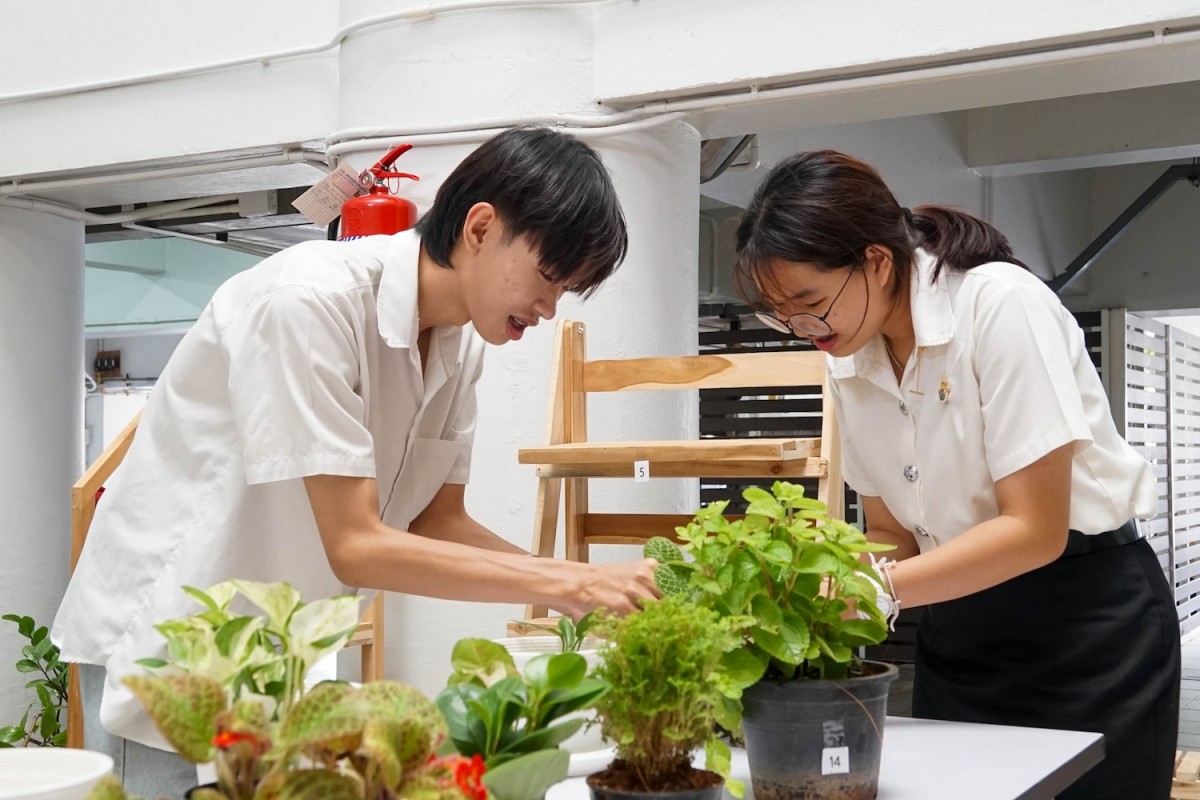 gallery_20240724173511_5941084