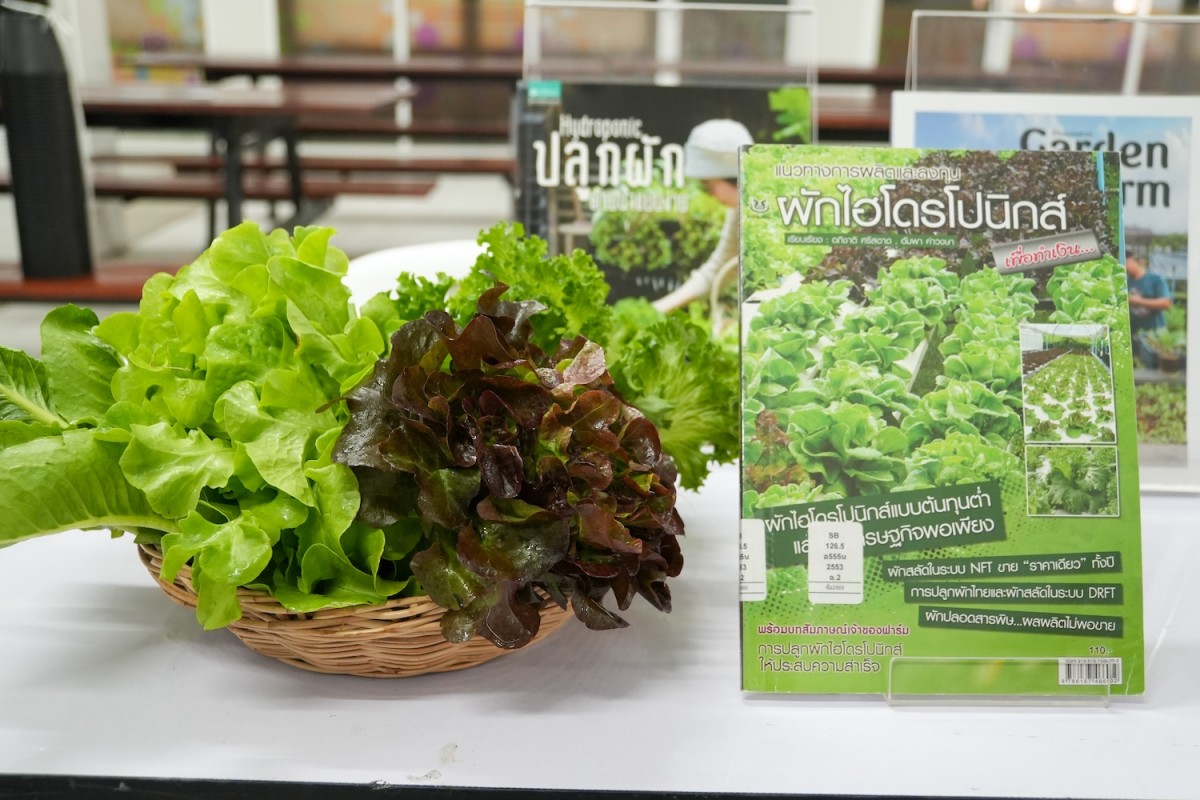 gallery_20241218163158_6037318